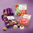 /album/heilemann-confiserie/kleine-gruesse-nougat-pralinen-heilemann-mood-jpg/