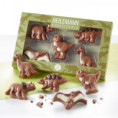 /album/heilemann-confiserie/dinosaurier-aus-schokolade-heilemann-geschenkpackung-jpg/